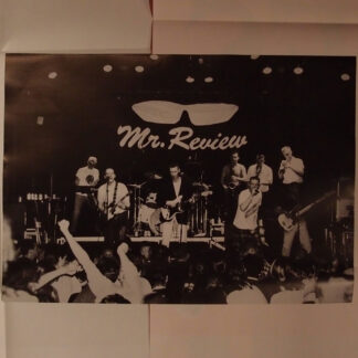 Mr Review - Poster