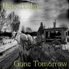 Too Many Crooks - Here today gone tomorrow