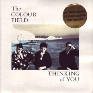 Colour Field – Thinking Of You (2 x 7")